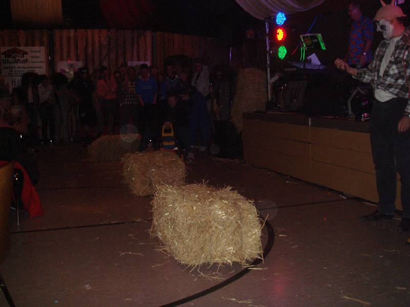fasnet 203