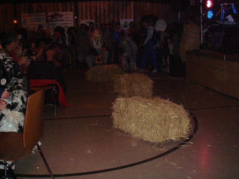 fasnet 208