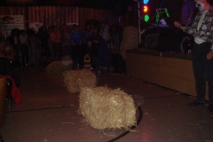 fasnet 203
