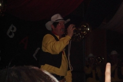 fasnet 223