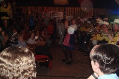 fasnet 233