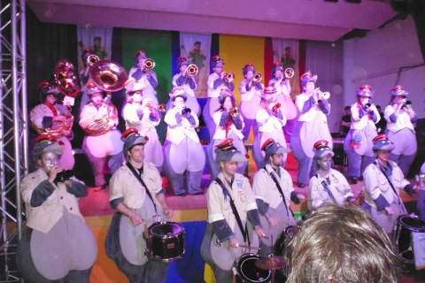 2015-01-23 Schalkball Blitzenreute