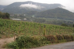 CIMG0003
