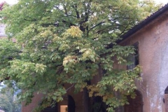 CIMG0021