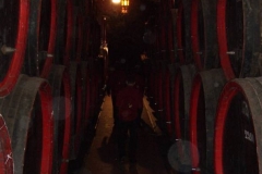 CIMG0044