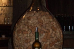 CIMG0058