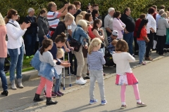 DSC_8917_bearbeitet-1