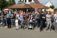 DSC_8952_bearbeitet-1