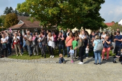DSC_8992_bearbeitet-1