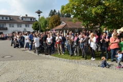 DSC_8993_bearbeitet-1