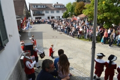 DSC_9010_bearbeitet-1