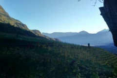 IMG-20171017-WA0044