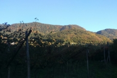 IMG-20171017-WA0050